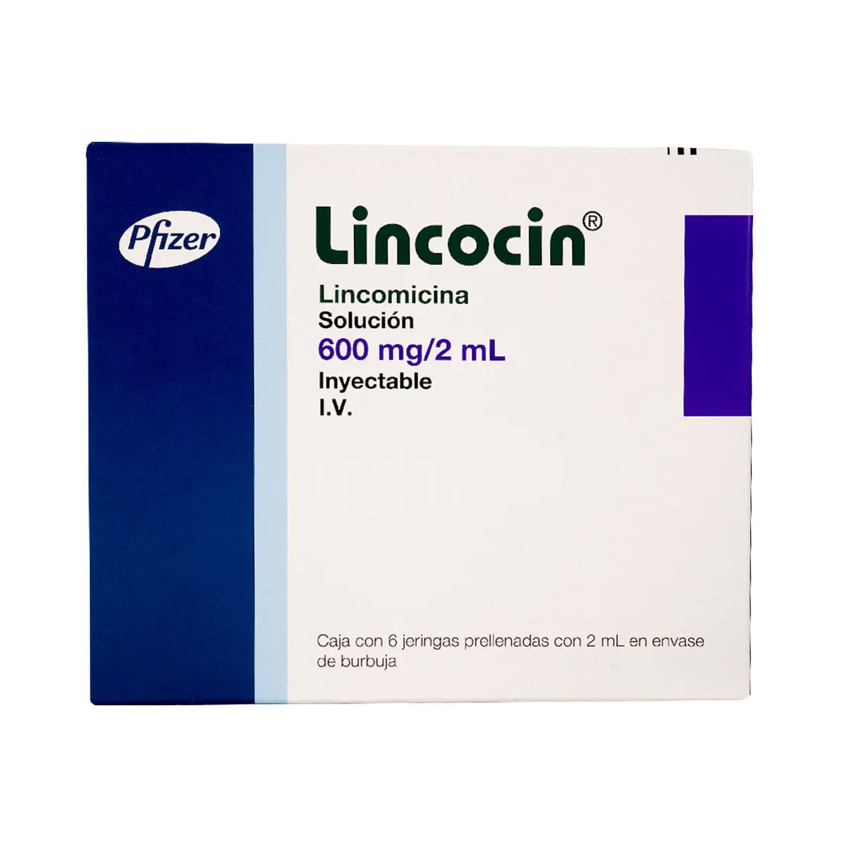 LINCOCIN 600MG/2ML JGAS C/6