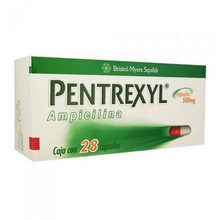 PENTREXYL 500MG CAPSULAS C/28