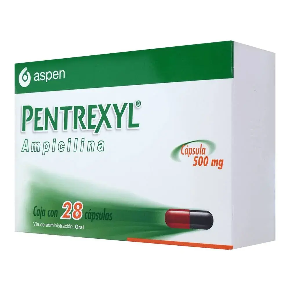 PENTREXYL 500MG CAPSULAS CON 28