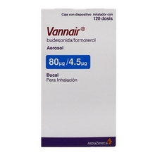 VANNAIR 80/4.5MCG AER 120 DOSIS