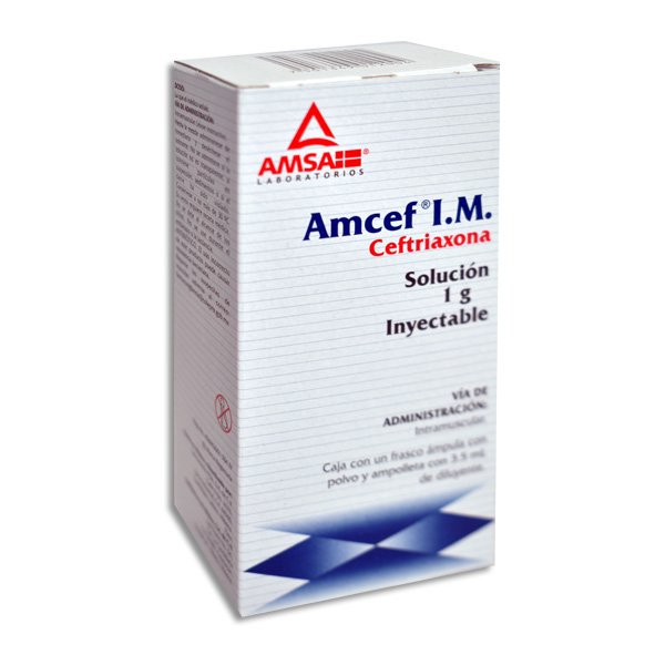 AMCEF IM 1G INYECTABLE C/1 (GI)