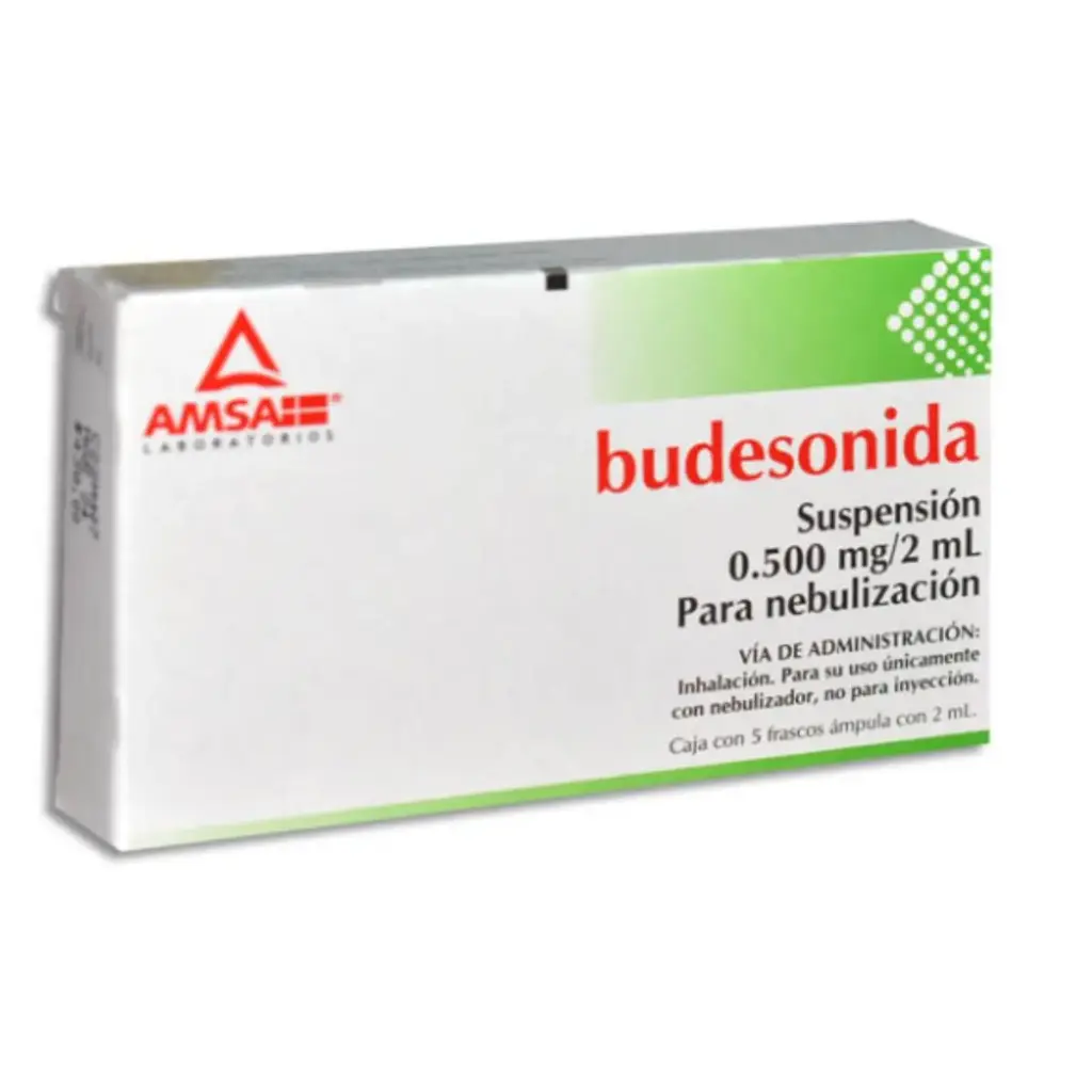 BUDESONIDA AMSA SUSPENSION 0.500MG/2ML AMPULA CON 5 (GI)