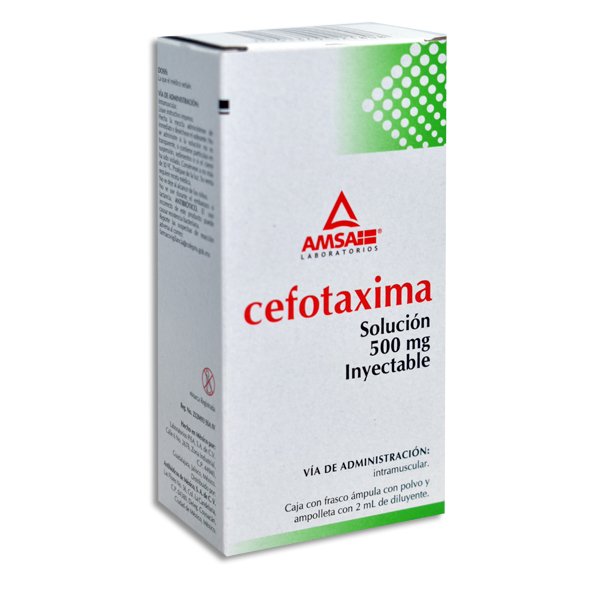 CEFOTAXIMA AMSA IM 500MG INYECTABLE C/1 (GI)