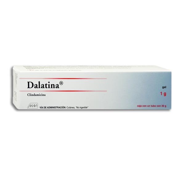 DALATINA GEL 1G 30G (GI)