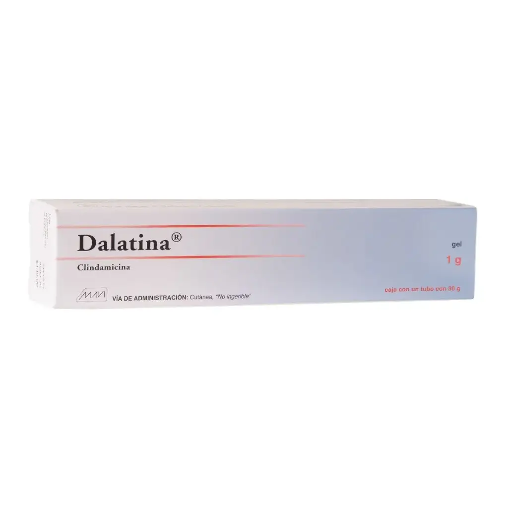 DALATINA GEL 1G 30G (GI)