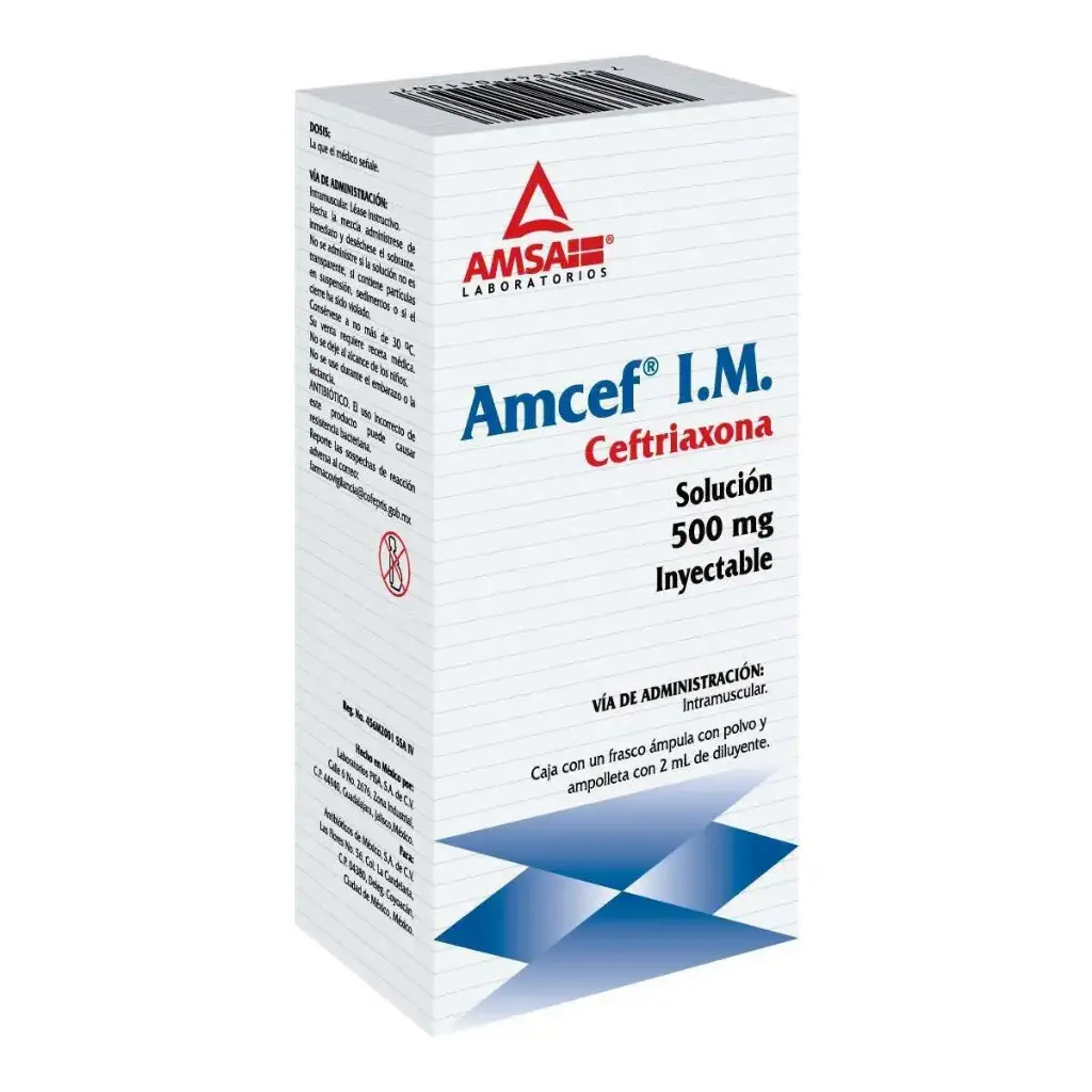 AMCEF IM 500MG INYECTABLE CON 1 (GI)