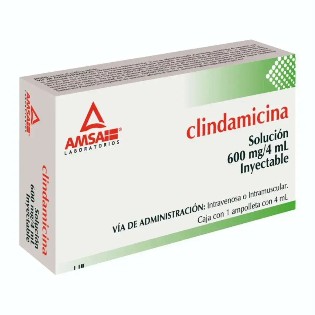 CLINDAMICINA AMSA 600MG/4ML AMPULA CON 1 (GI)