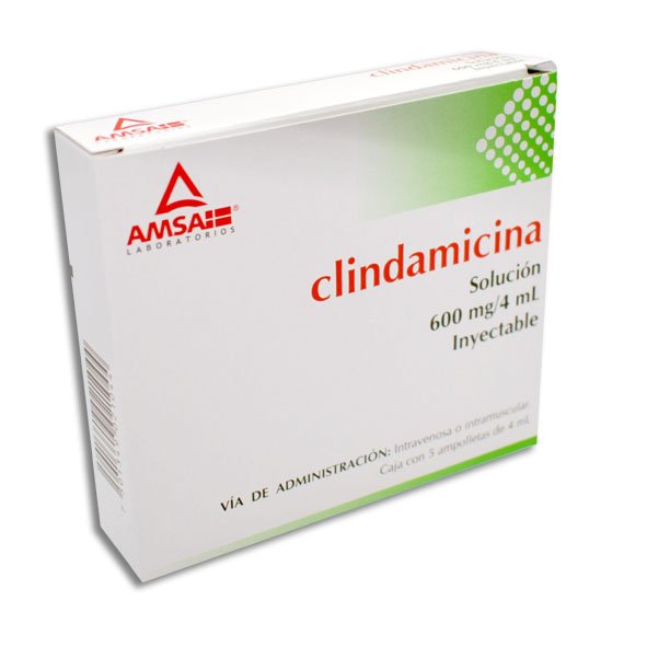 CLINDAMICINA AMSA 600MG INYECTABLE C/5 (GI)