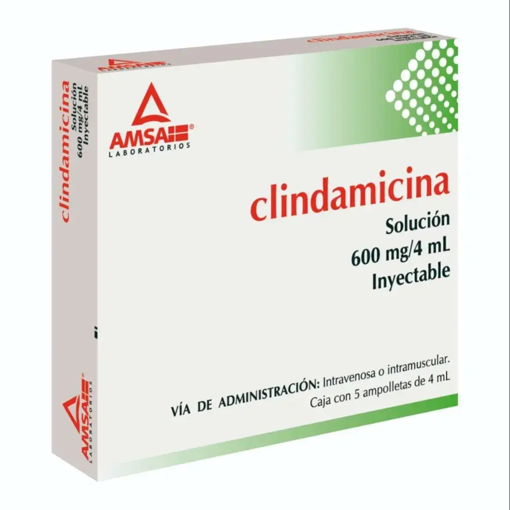CLINDAMICINA AMSA 600MG INYECTABLE CON 5 (GI)