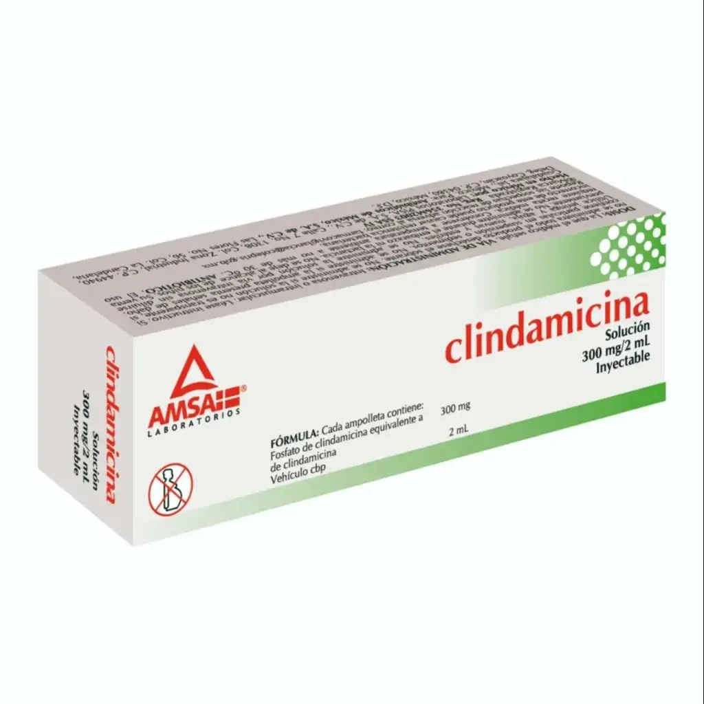 CLINDAMICINA AMSA 300MG/2ML AMPULA CON 1 (GI)
