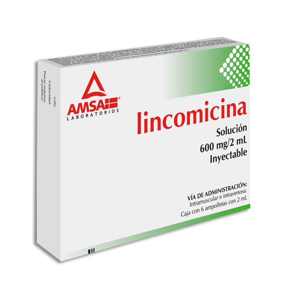 LINCOMICINA AMSA 600MG/2ML INYECTABLE C/6 (GI)