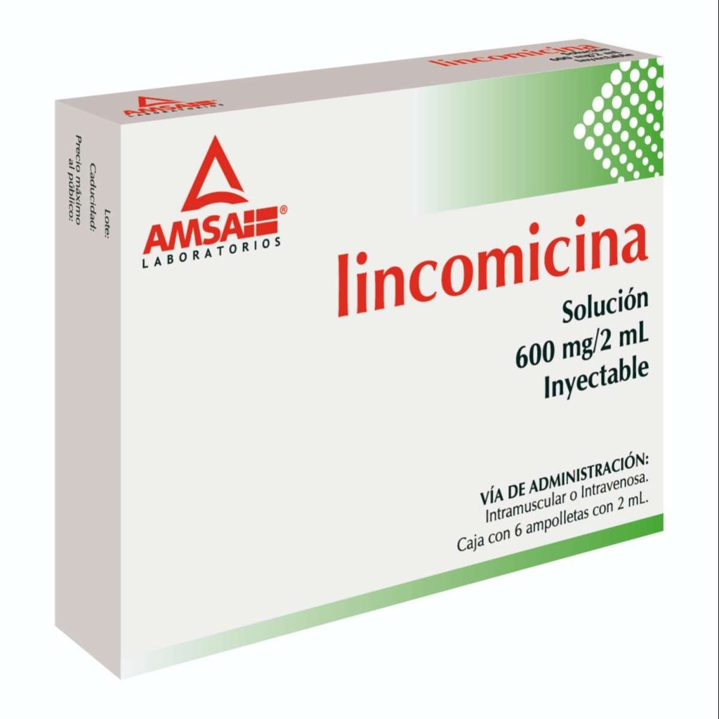 LINCOMICINA AMSA 600MG/2ML INYECTABLE CON 6 (GI)