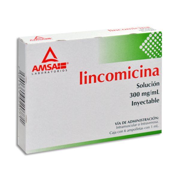 LINCOMICINA AMSA 300MG AMPOLLETA CON 6 (GI)