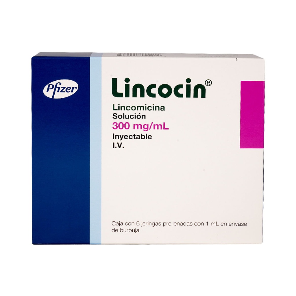 LINCOCIN 300MG/1ML JGAS CON 6