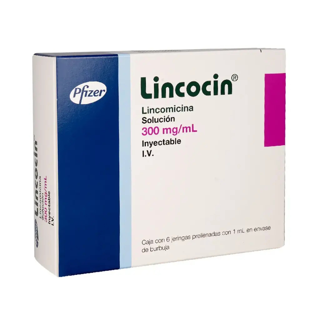 LINCOCIN 300MG/1ML JGAS CON 6