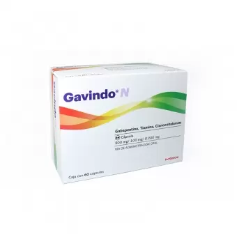 GAVINDO N 300/100/0.200MG CAPSULAS CON 60
