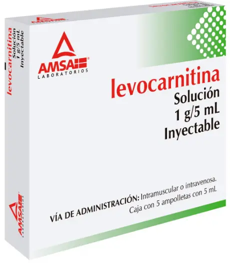 LEVOCARNITINA AMSA 1G/5ML AMPULA CON 5 (GI)