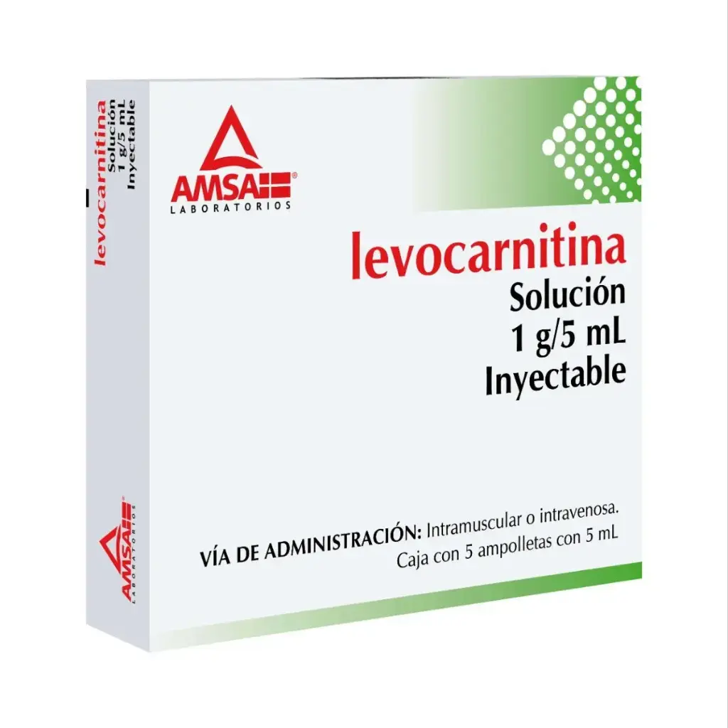 LEVOCARNITINA AMSA 1G/5ML AMPULA CON 5 (GI)