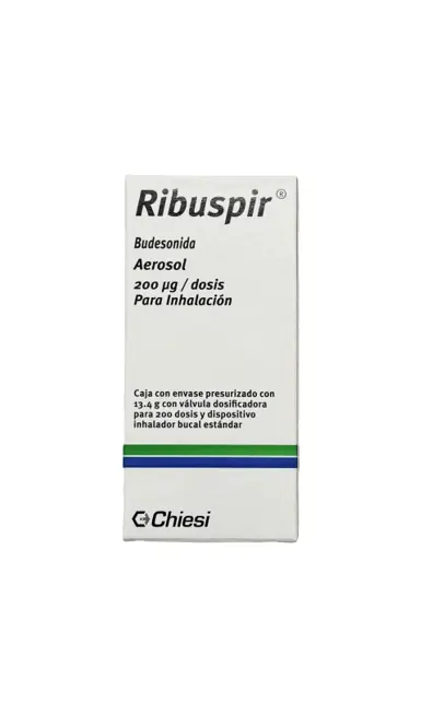 RIBUSPIR 200MCG .AER. 13.4G