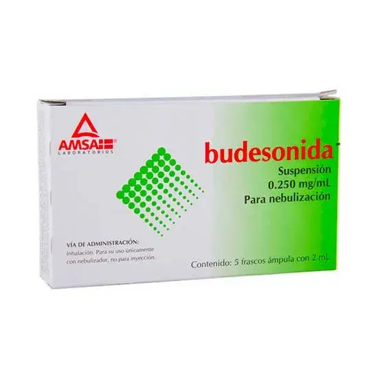 BUDESONIDA AMSA NEB 0.250 MG/2ML AMP C/5 (GI)