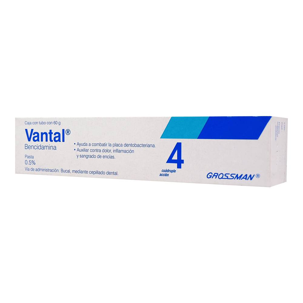 VANTAL PAST DENTAL 60 G