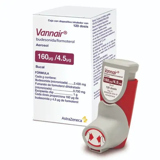 [FORMOTEROL,BUDESONIDA] VANNAIR 160/4.5MCG 1 AEROSOL CON 120 DOSIS