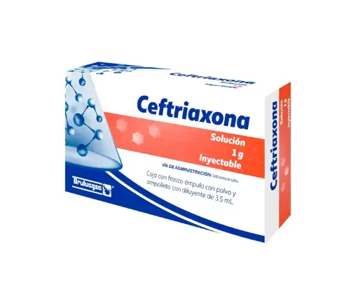 [CEFTRIAXONA] CEFTRIAXONA BRULUAGSA IM 1G 3.5ML (GI)