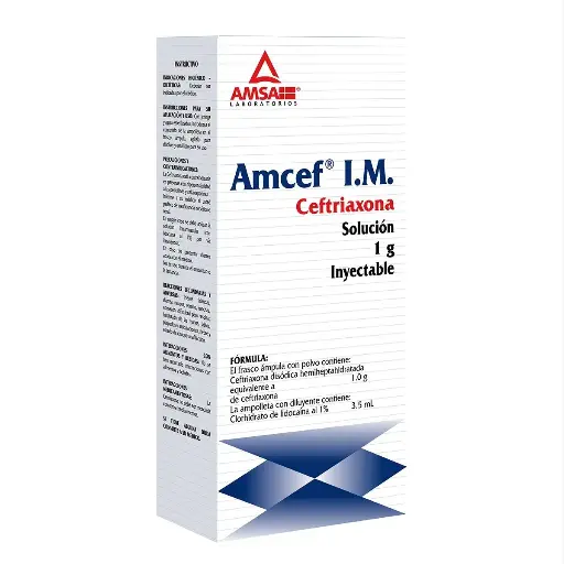 [CEFTRIAXONA] AMCEF IM 1G INYECTABLE CON 1 (GI)