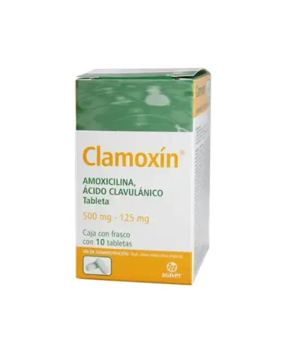 [ACIDO CLAVULANICO,AMOXICILINA] CLAMOXIN 500/125MG TABLETAS CON 10 (GI)