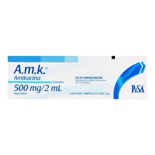 [AMIKACINA] AMIKACINA SALUCOM 500MG / 2ML CON 1 (GI)