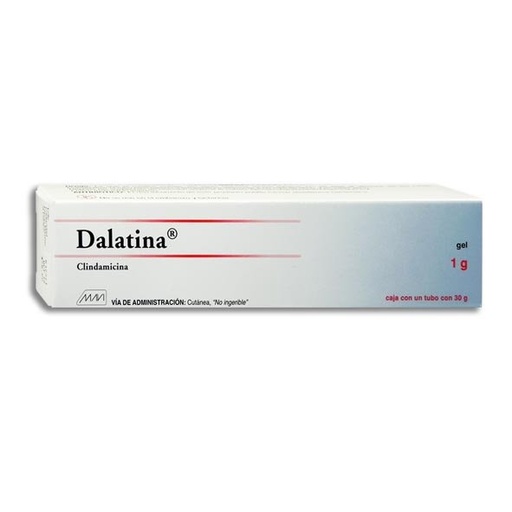 DALATINA GEL 1G 30G (GI)