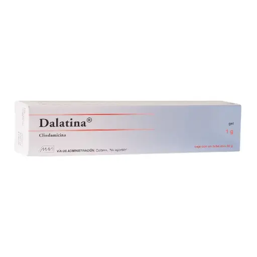 DALATINA GEL 1G 30G (GI)