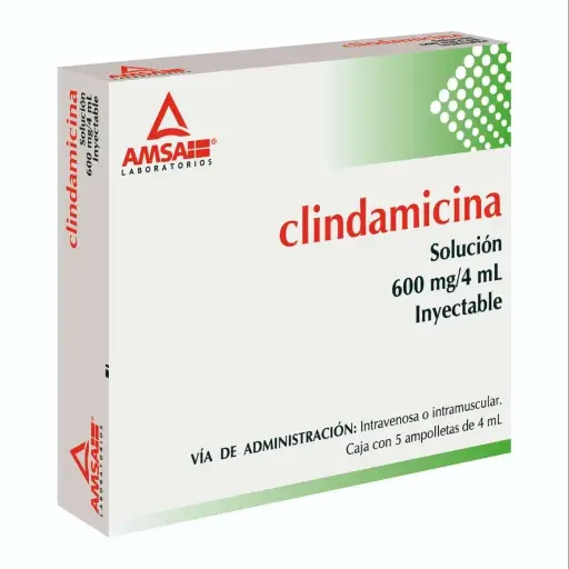 CLINDAMICINA AMSA 600MG INYECTABLE CON 5 (GI)