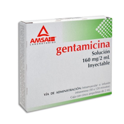 GENTAMICINA AMSA 160MG/2ML AMPULA C/5 (GI)