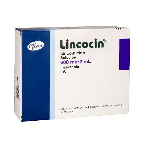 LINCOCIN 600MG/2ML JGAS CON 6
