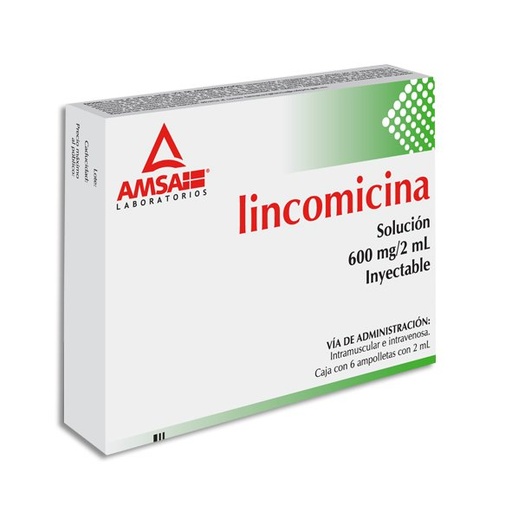 LINCOMICINA AMSA 600MG/2ML INYECTABLE CON 6 (GI)