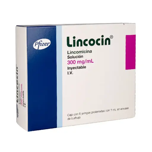 LINCOCIN 300MG/1ML JGAS CON 6