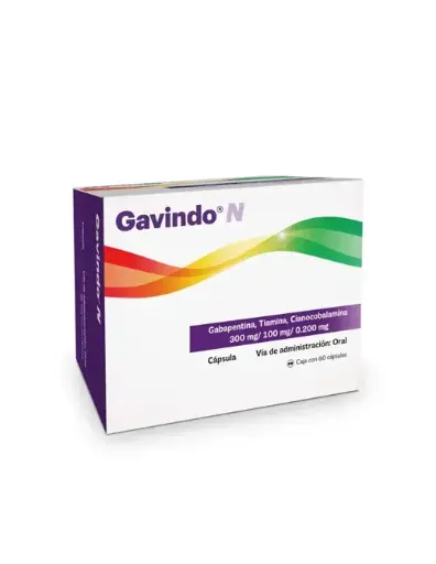 GAVINDO N 300/100/0.200MG CAPSULAS CON 60