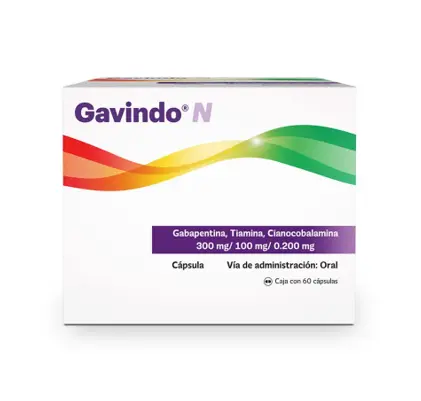 GAVINDO N 300/100/0.200MG CAPSULAS CON 60