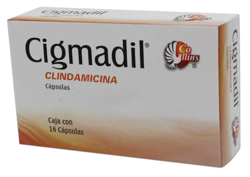CIGMADIL 300MG CAPSULAS CON 16 (GI)