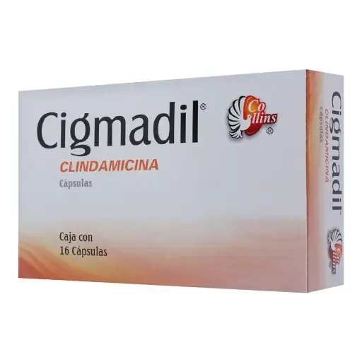 CIGMADIL 300MG CAPSULAS CON 16 (GI)