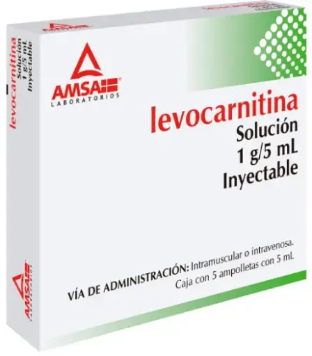 LEVOCARNITINA AMSA 1G/5ML AMPULA CON 5 (GI)