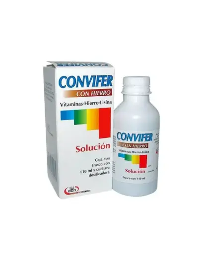 CONVIFER CON HIERRO SOLUCION 110ML (GI)