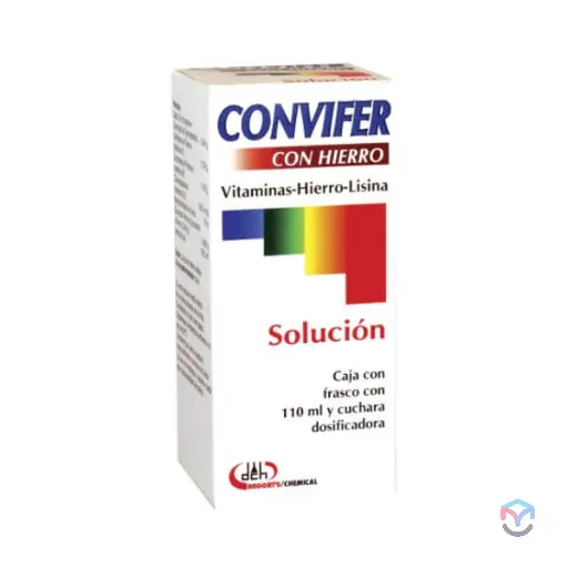 CONVIFER CON HIERRO SOLUCION 110ML (GI)