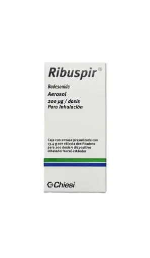 RIBUSPIR 200MCG .AER. 13.4G